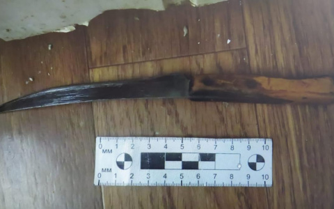 Вспыльчивая жительница Мордовии напала с ножом на возлюбленного