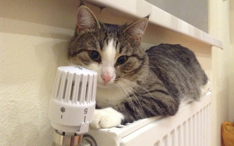 В Саранске 30 апреля закончится отопительный сезон