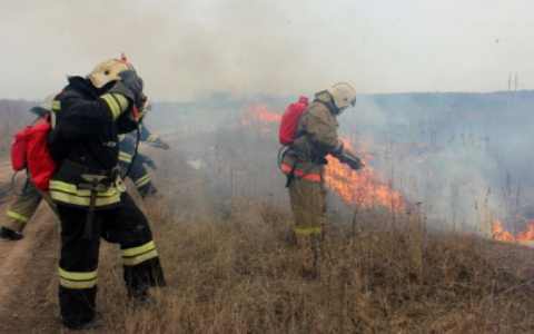 В Мордовии огнем уничтожено более десяти строений