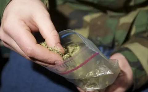 Полицейские обнаружили марихуану у безработного жителя Саранска