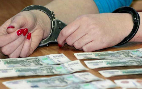 В Саранске карманница пойдёт под суд за кражу 80 тысяч рублей