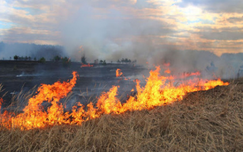 В Мордовии зафиксированы новые случаи нарушения противопожарных мер
