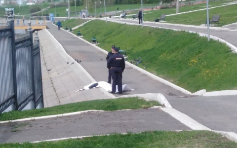 Из пруда около центрального парка Саранска достали труп 58-летней женщины