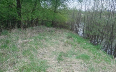 Пропавшую без вести 88-летнюю женщину обнаружили в овраге в Мордовии