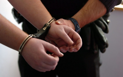 Полицейские из Саранска задержали жителя Нижнего Тагила по обвинению в мошенничестве