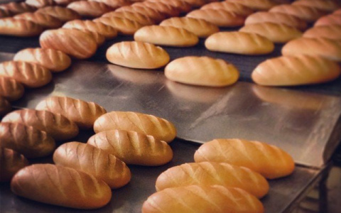 Работникам хлебозавода в Мордовии три месяца не отдавали зарплату