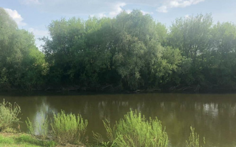 В Мордовии восьмилетний мальчик утонул в реке Алатырь