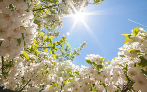 Сегодня в Саранске будет ясная погода, днем потеплеет до +30