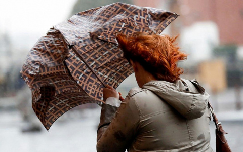 В Мордовии было объявлено оперативное предупреждение на 21 мая из-за сильного ветра