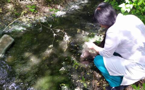 Росприроднадзор расследует обстоятельства сброса канализационных стоков в Рузаевке