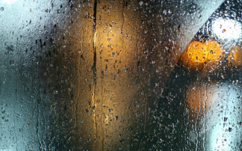 16 июня в Мордовии в первой половине дня снова ожидается дождь и переменная облачность