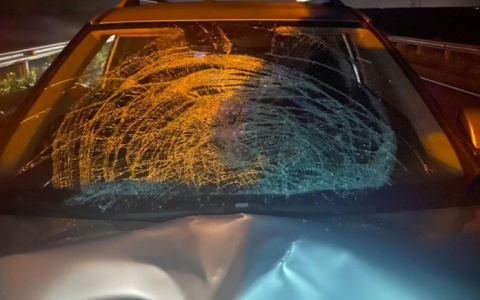 В Лямбирском районе Мордовии под колёсами Hyundai Creta погиб неизвестный мужчина