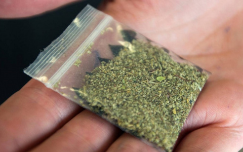 В Саранске вынесли приговор двум наркодилерам из Пензенской области