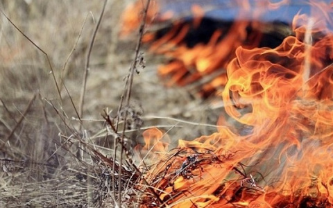 В Мордовии до 30 июня продлен особый противопожарный режим