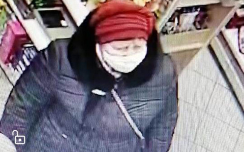 В Саранске ищут похитительницу в красной шапке