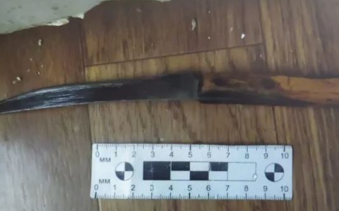 29-летняя жительница Саранска ударила ножом в живот своего сожителя