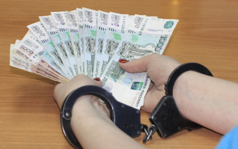 В Мордовии за мошенничество будут судить завкафедрой института