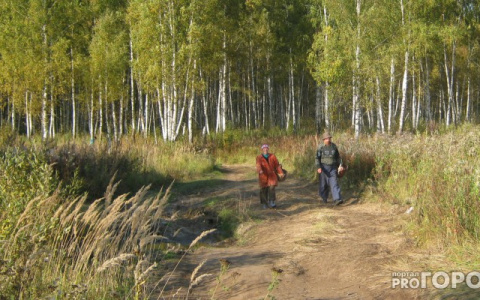 Скандинавский антициклон принесет в Мордовию сильную жару