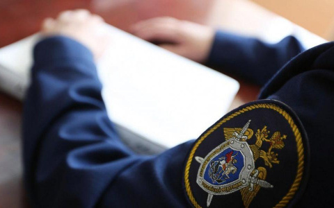 Мужчина в Саранске случайно убил приятеля, который оскорбил его возлюбленную