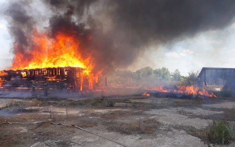 Старая ферма вспыхнула в Темниковском районе Мордовии