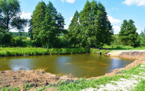 В Мордовии в искусственном пруду утонул 12-летний школьник