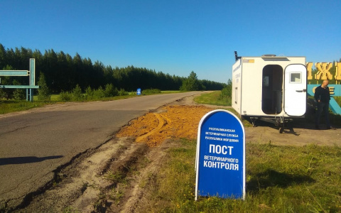 На границе Мордовии и Нижегородской области развернули карантинный пост