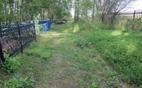 В Мордовии на парня и его родственницу завели уголовное дело за отвратительную выходку на кладбище