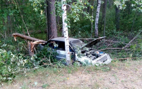 В Мордовии ВАЗ-21140 вылетел в кювет, пострадала 20-летняя девушка