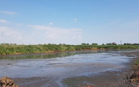 Жители Саранска снова пожаловались на неприятный запах в городе