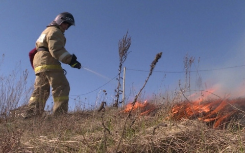 В Темниковском районе каждый день вспыхивает сухая трава
