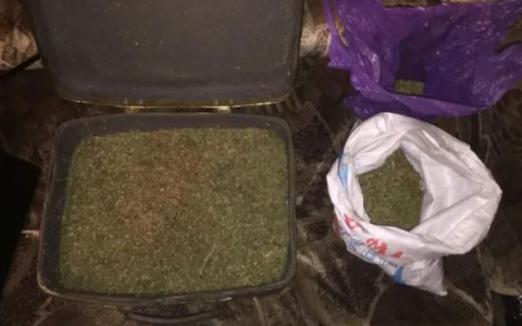 В Мордовии мужчину осудили за хранение 8 кг марихуаны для личного употребления