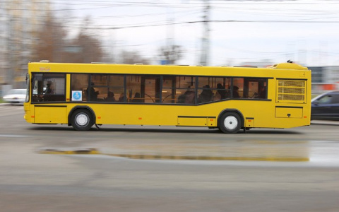 24, 25 и 28 июля в Саранске из-за спартакиады будет изменена схема движения маршрута №29