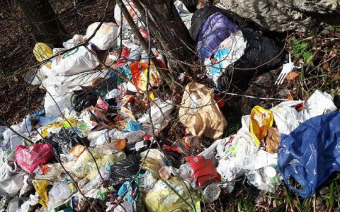 В Мордовии прокуратура выявила 5 сельских поселений с несанкционированными свалками