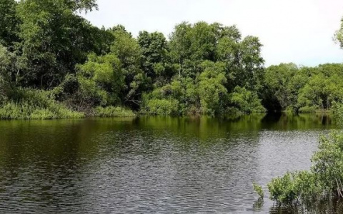 «Рузканал» заплатит штраф и возместит ущерб за сброс в Инсар канализационных стоков