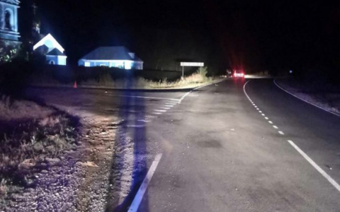 В Мордовии две машины опрокинулись в кювет, водитель иномарки умер, один человек пострадал