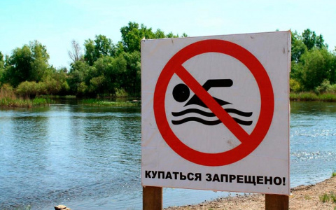 Роспотребнадзор после проверки запретил купаться в водоеме «Старт» и водоеме на Гончарова