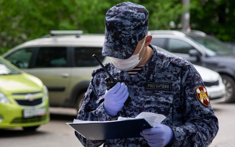В Саранске сотрудники Росгвардии задержали 18-летних парней за кражу колонки