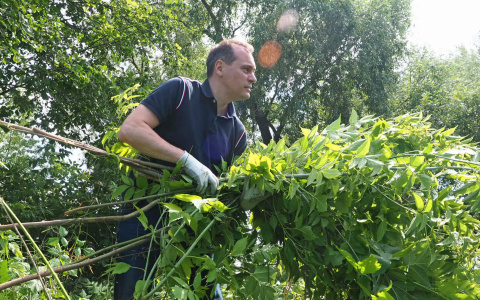 Артем Здунов присоединился к акции по уборке территории Рождество-Богородичного Санаксарского монастыря