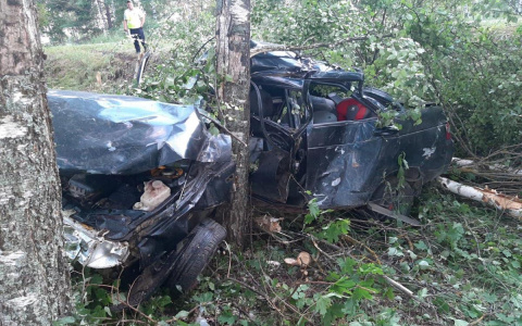 Двое молодых людей пострадали в результате вылета ВАЗ-21101 в березовую рощу в Мордовии
