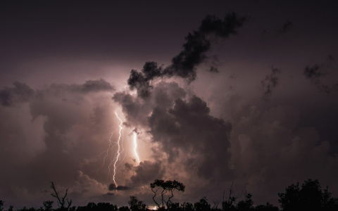 4 августа в Мордовии будет облачно, пройдут дожди и грозы, температура поднимется до +24