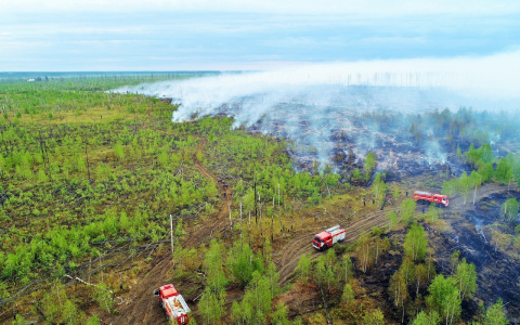 Площадь пожара, возникшего в Мордовском заповеднике, превысила 3 тыс. га