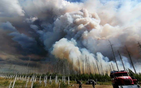 В тушении пожара на территории Мордовского заповедника задействовали авиацию Росгвардии