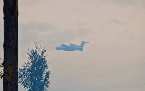 Пожар в Мордовском заповеднике: Авиацией на очаги горения сброшено 250 тонн воды