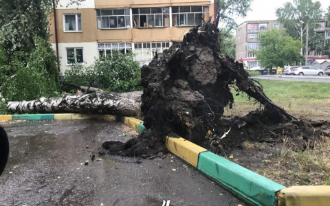 В Мордовии начались выплаты пострадавшим четырех районов республики от урагана 3 августа