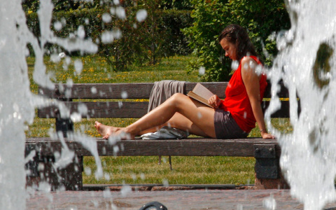 11 августа в Мордовии ожидается +34 градуса, ветер усилится до 8 м/с