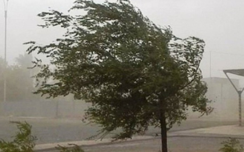 На 13 августа в Мордовии из-за грозы и штормового ветра объявили оперативное предупреждение