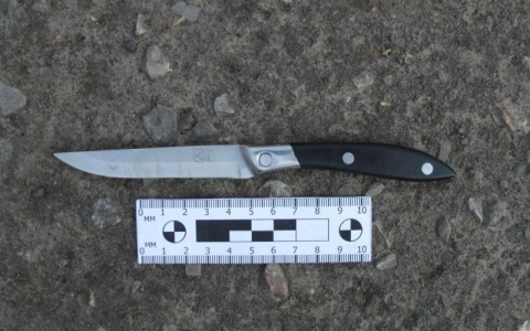 Двух посетителей кафе, заступившихся за даму в Саранске, ранили в ягодицы ножом