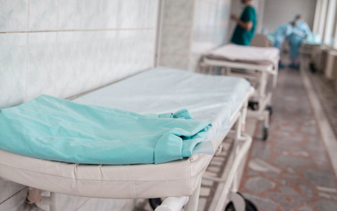 За сутки в Мордовии коронавирус выявили у 69 человек, 48 человек выздоровели, а 2 умерли