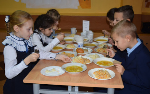 В Мордовии качеством горячего питания школьников довольны 75% родителей