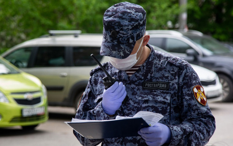 Жителя Лямбирского района поймали при попытке похитить товары из магазина в Саранске